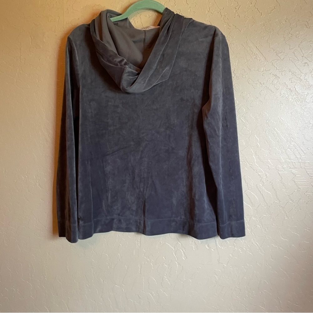 Loft Grey Velvet‎ Hoodie - Picture 3 of 6